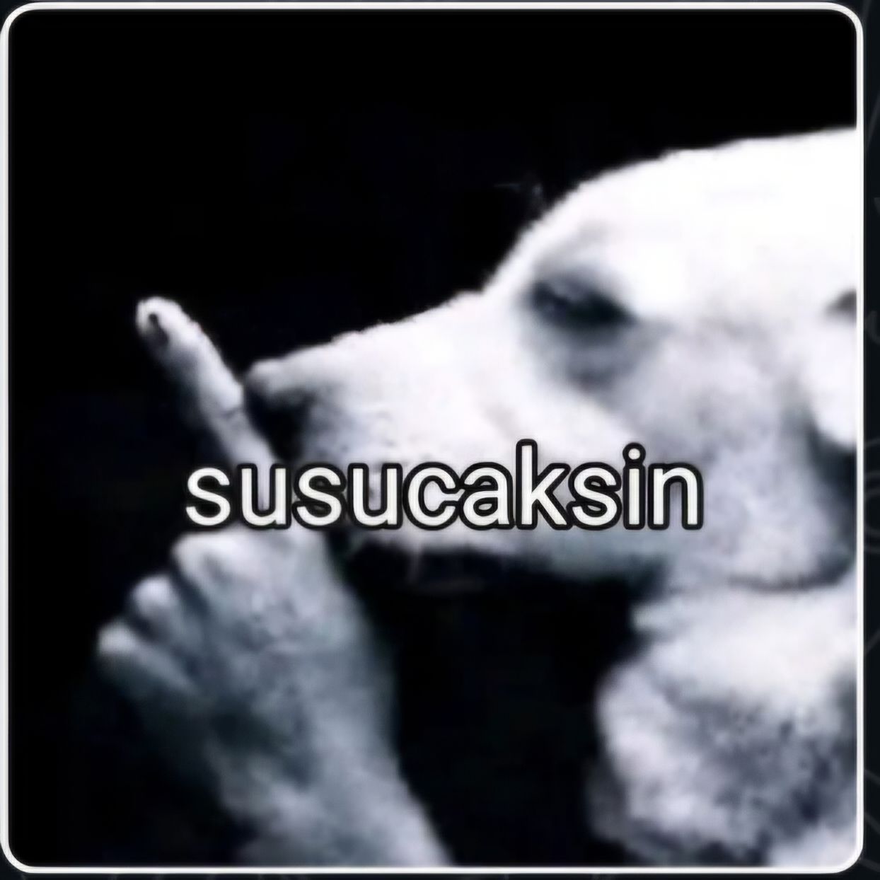 Susucaksin
