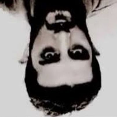 Zınar Çenet