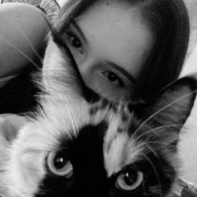 Melek