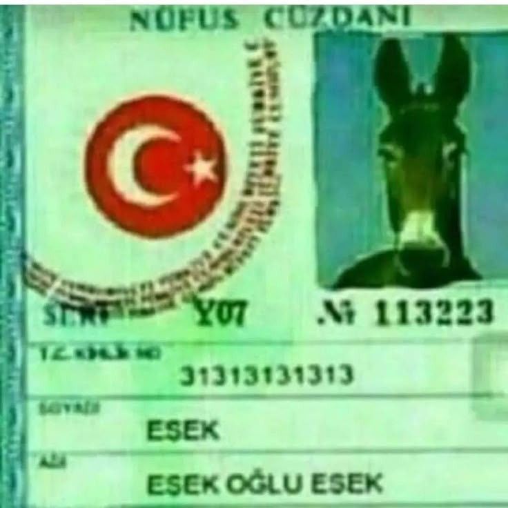 Kedullah