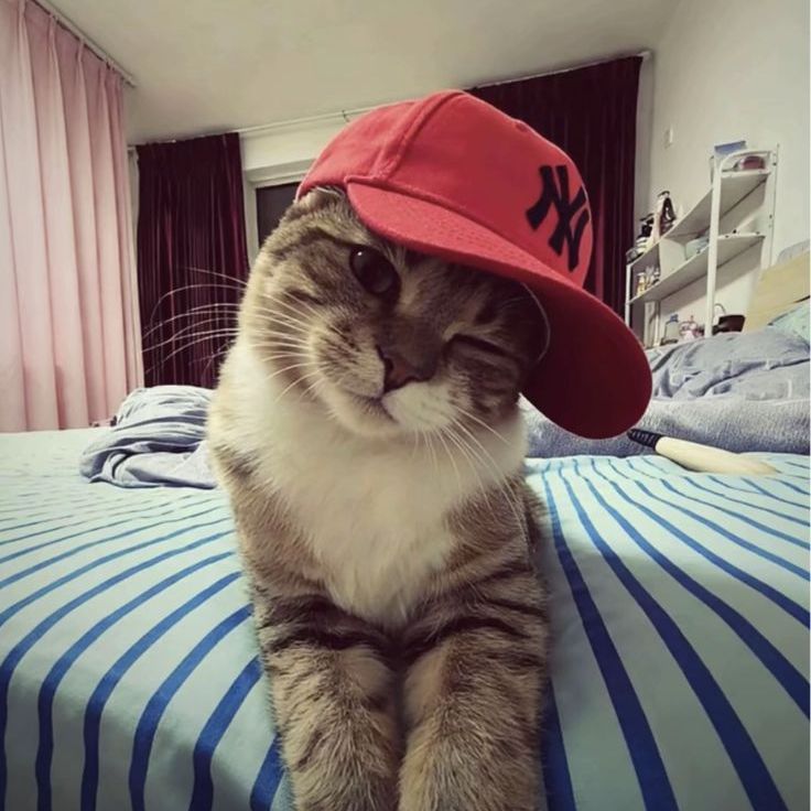 Gökçe