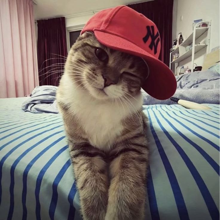 Asel