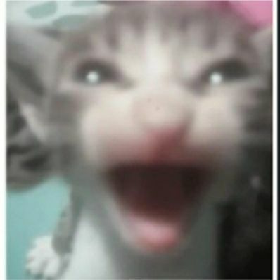 Saika