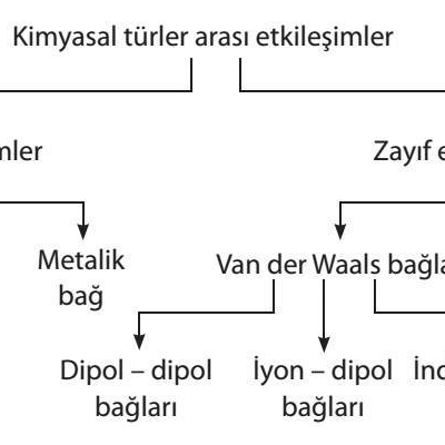 Ad Soyad