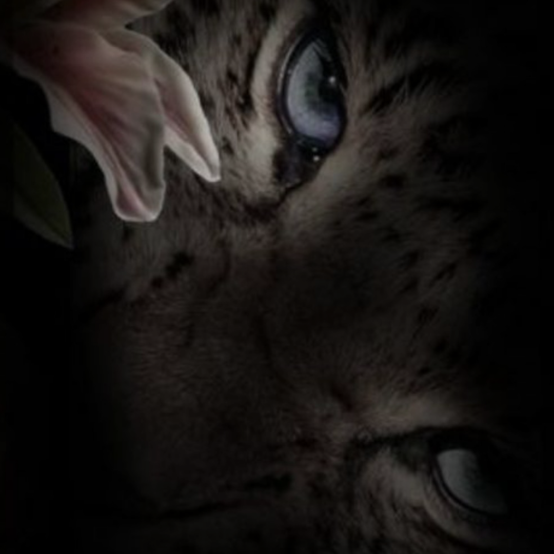 esoli