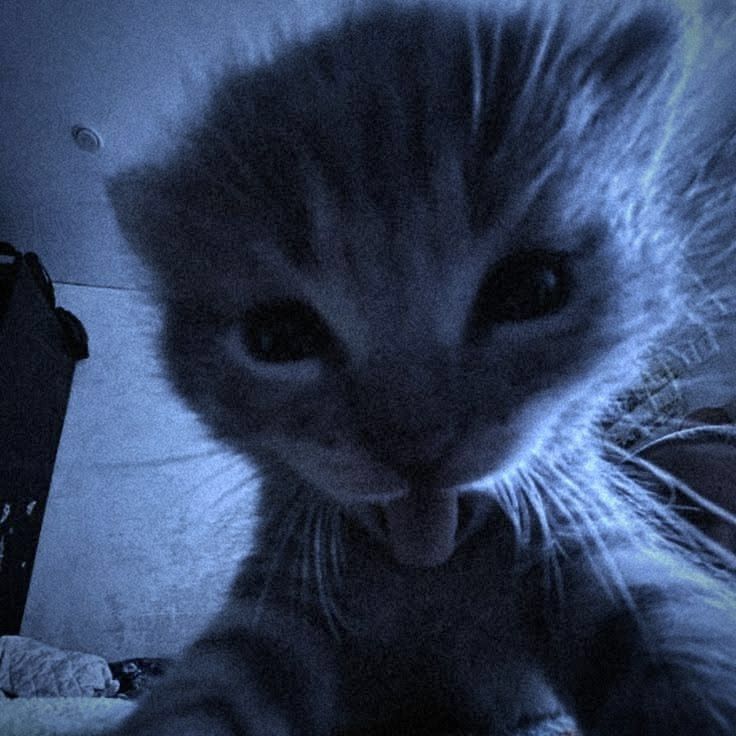 Beren