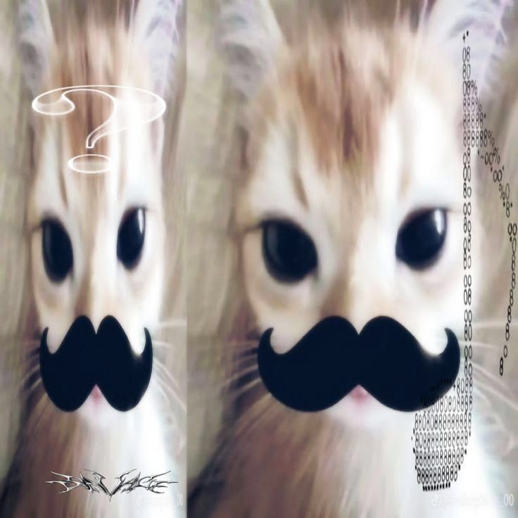 Mezekezy