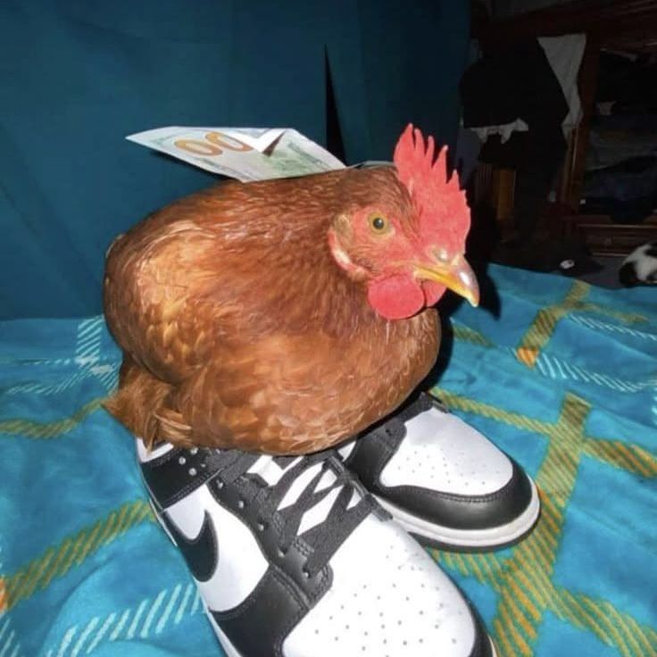 Öylemiolmuş