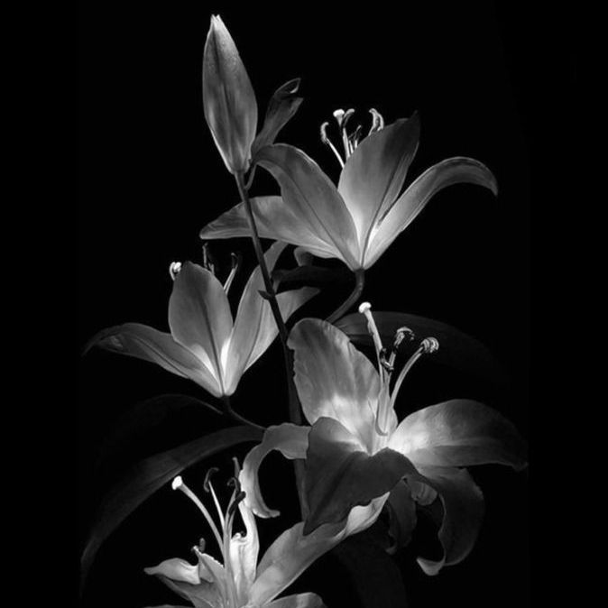 Hatice ARSLAN