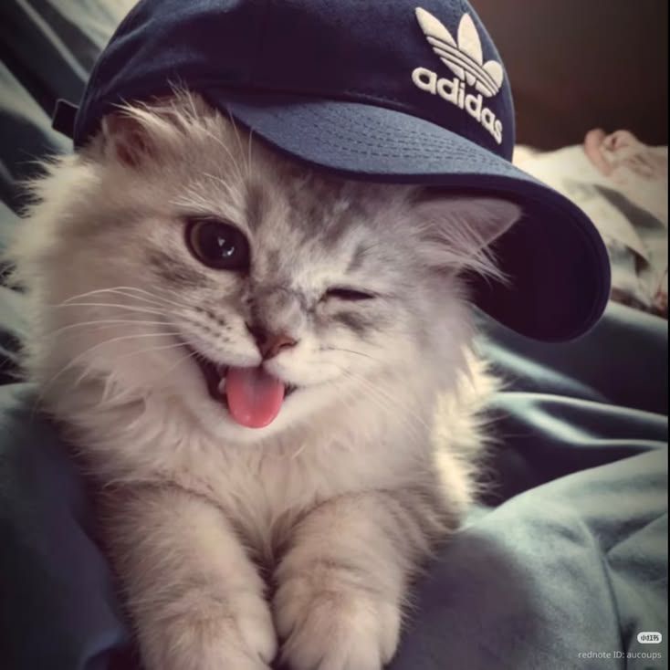 Belinay_