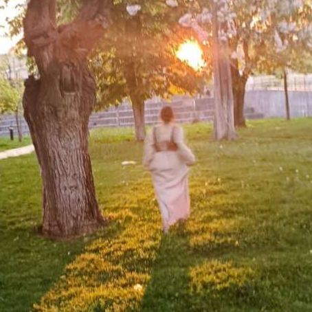 Mısra