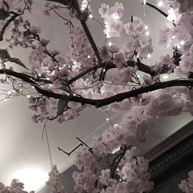 Ze-ze✨🌸