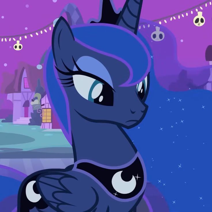 ✶﹒