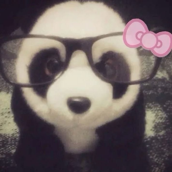 Chanminthebest