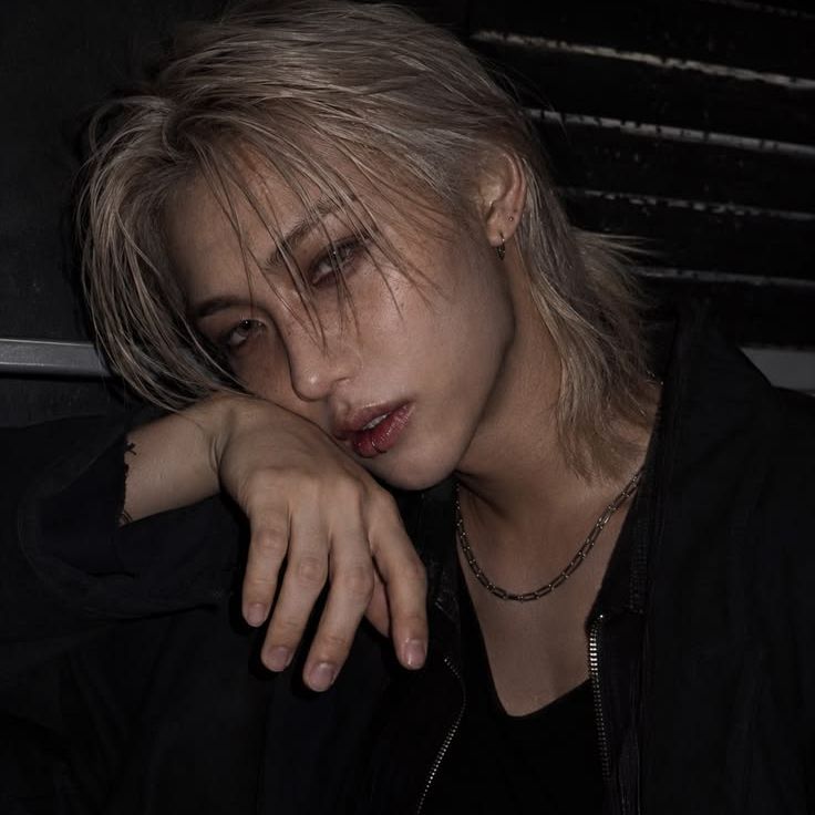 ​✧.* 𝑓𝑒𝑙𝑖𝑥 𝑦𝑜𝑛𝑏𝑜𝑘 𝑙𝑒𝑒 *.✧