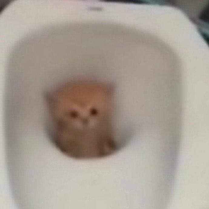 Øźcŋ