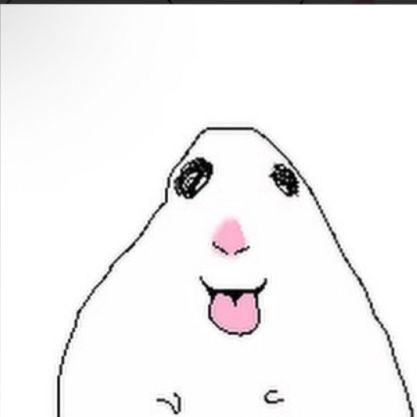 Mr Hamster