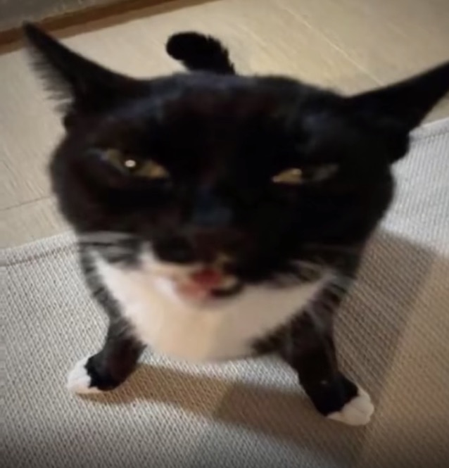 ∞ᴠͥɪͣᴘͫRetry↺ツ