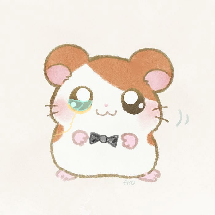 MR.servant