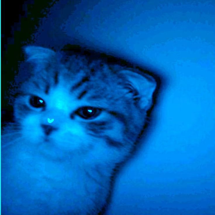 ★ ᴍᴀᴠɪ ʀüʏᴀ ★
