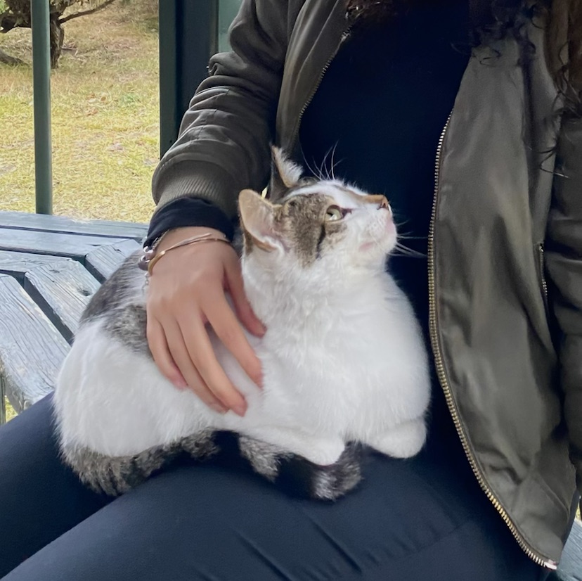 Melike Mira