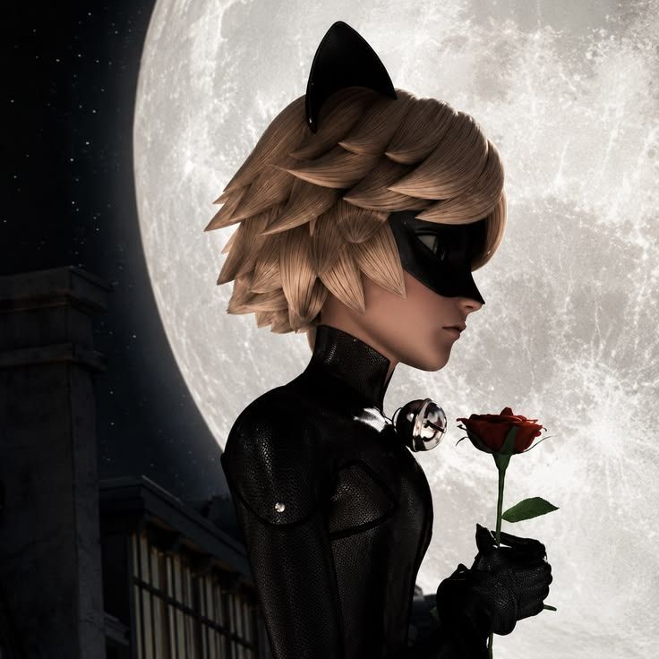 CatNoir
