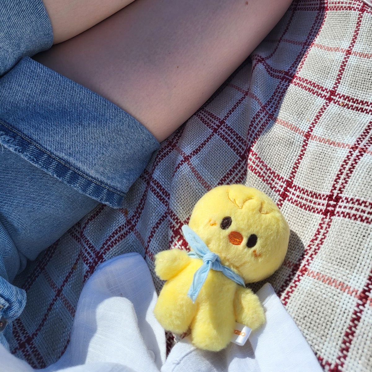𝐴𝑟𝑒𝑙 𝐸𝑚𝑖𝑟’