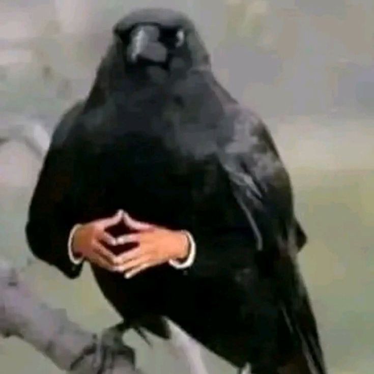 Karga